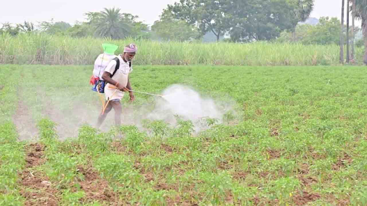 ఏమరుపాటు వద్దు.. అప్రమత్తతే ముద్దు..