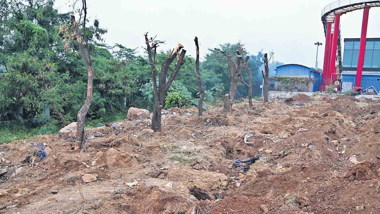 150 చెట్లకు పునర్జీవం