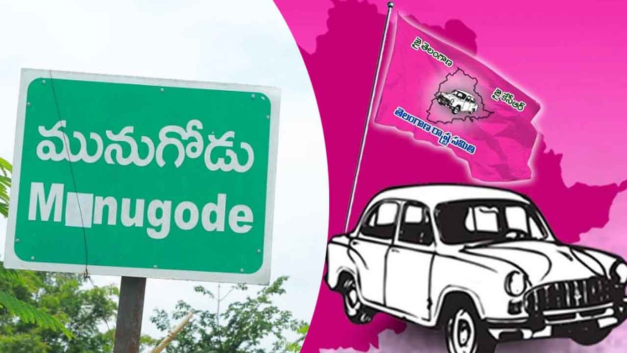 సబ్బండ వర్ణాలూ సారుతోనే..