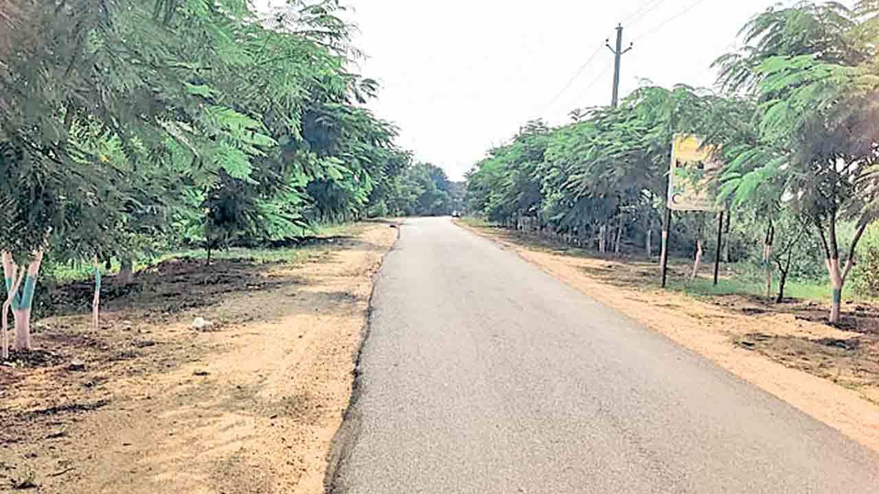 ఆహ్లాదకరంగా గ్రామ రోడ్లు