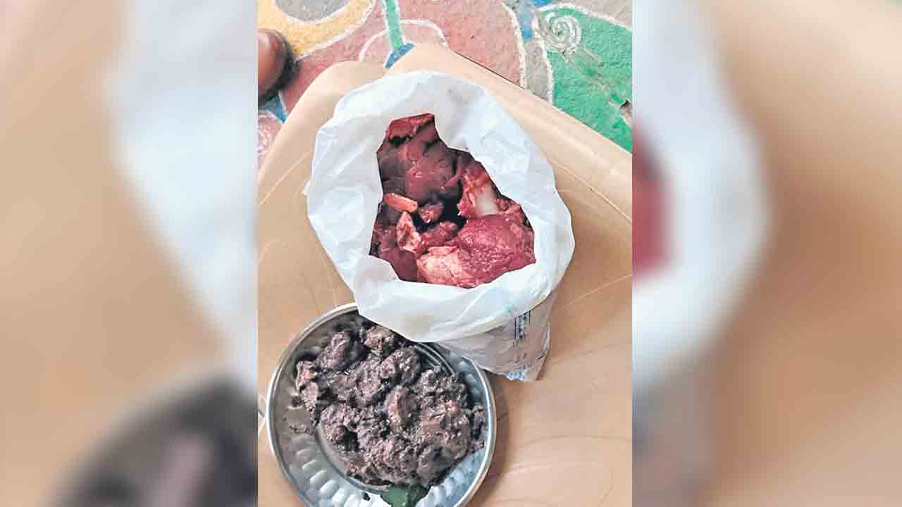 అడవి జంతువును వేటాడిన ఘటనలో 17 మందిపై కేసు నమోదు