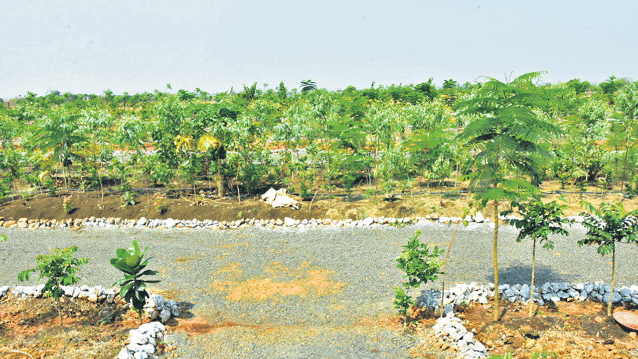 పల్లెలు ప్రగతి ముల్లెలు