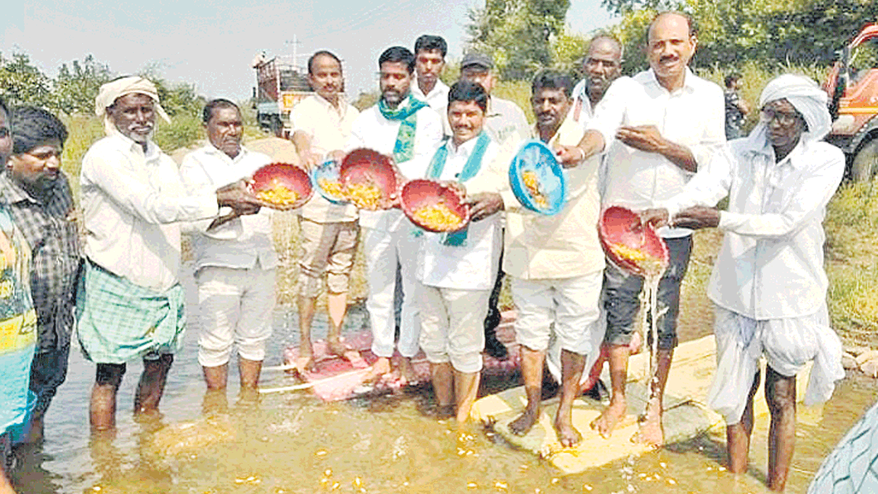 48లక్షల రొయ్య పిల్లల విడుదలే లక్ష్యం