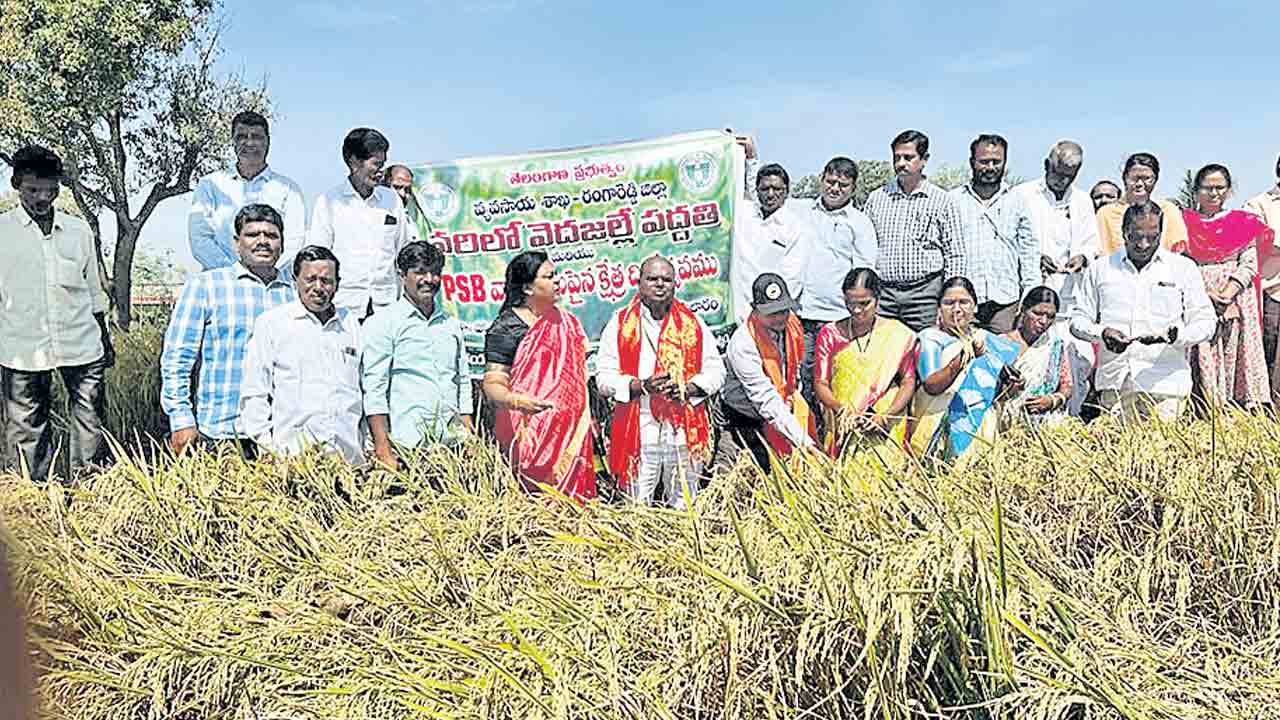 వెదజల్లే పద్ధతిలో వరిసాగు చేపట్టాలి