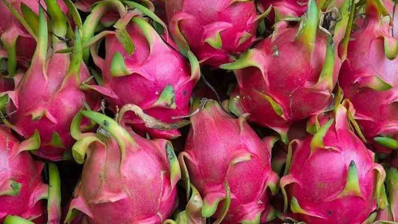 రాకాశి ఫలం ఆదాయం ఘనం