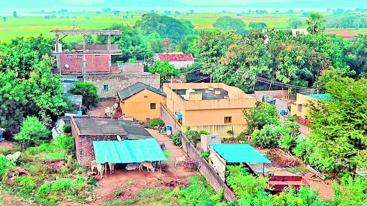 జాతీయ పురస్కారాల పోటీకి అడవుల ఖిల్లా..