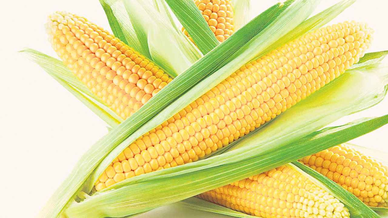 మద్దతుకు మించి..