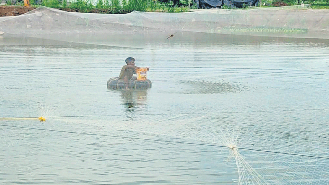 30 గుంటల్లో చెరువు, 2 గుంటల్లో కుంట నిర్మాణం