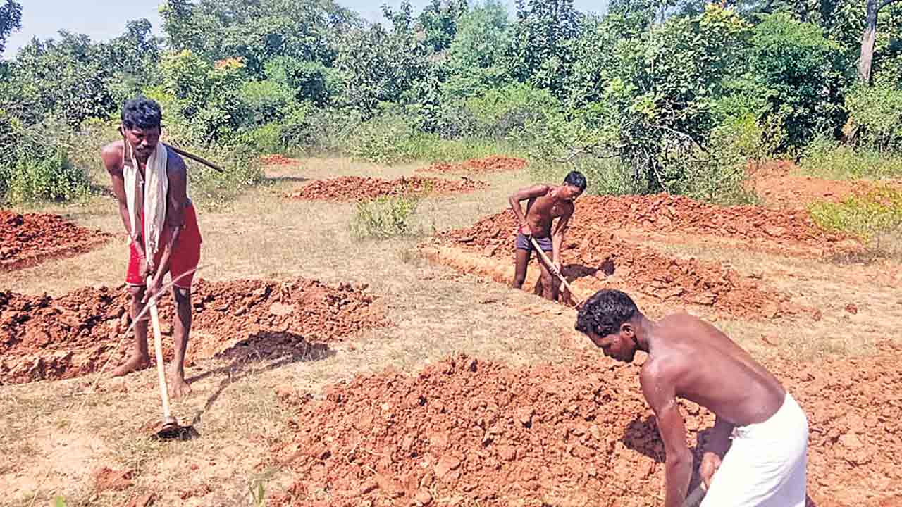 ఉపాధికి భరోసా..