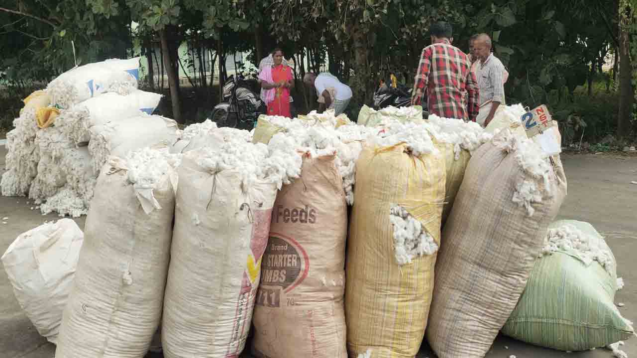 మార్కెట్‌లో మెరిసిపోతున్న తెల్లబంగారం