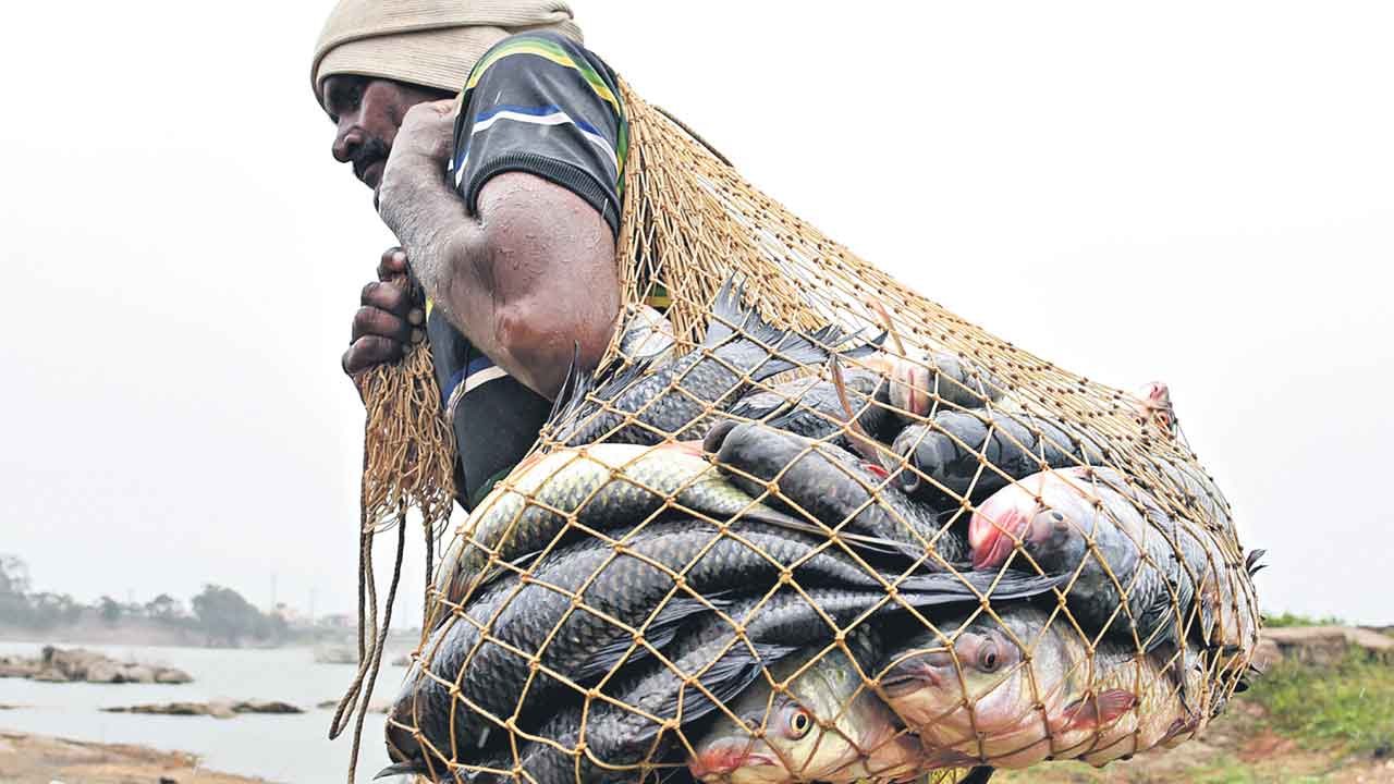 ముదిరాజ్‌ల ఆత్మబంధువు