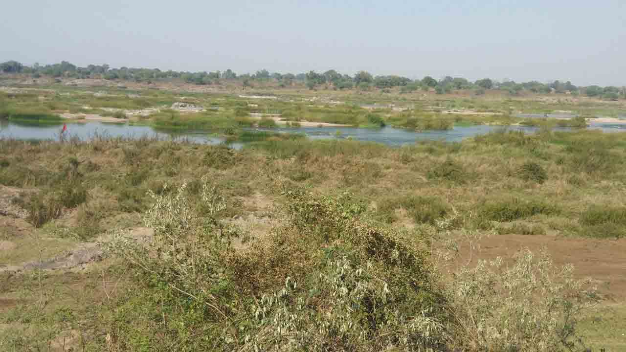 రైతన్నలకు వరం.. వార్ధా