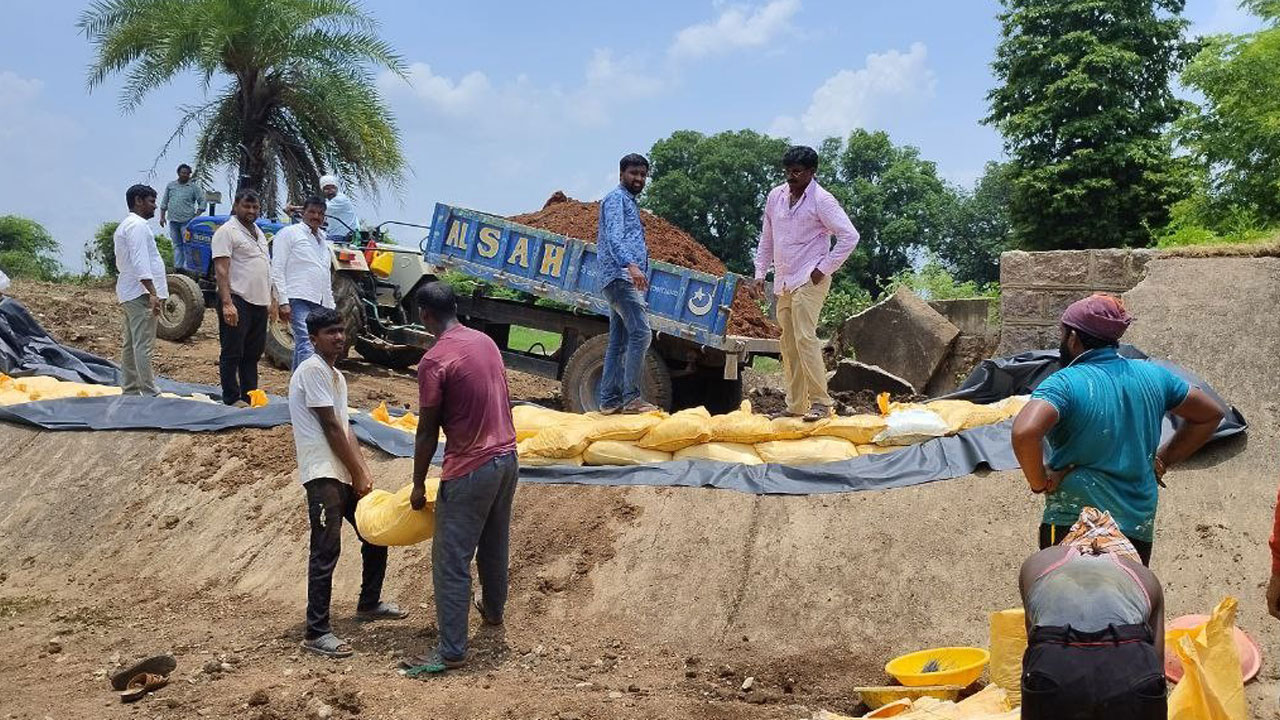 యాసంగికి పునర్జీవం