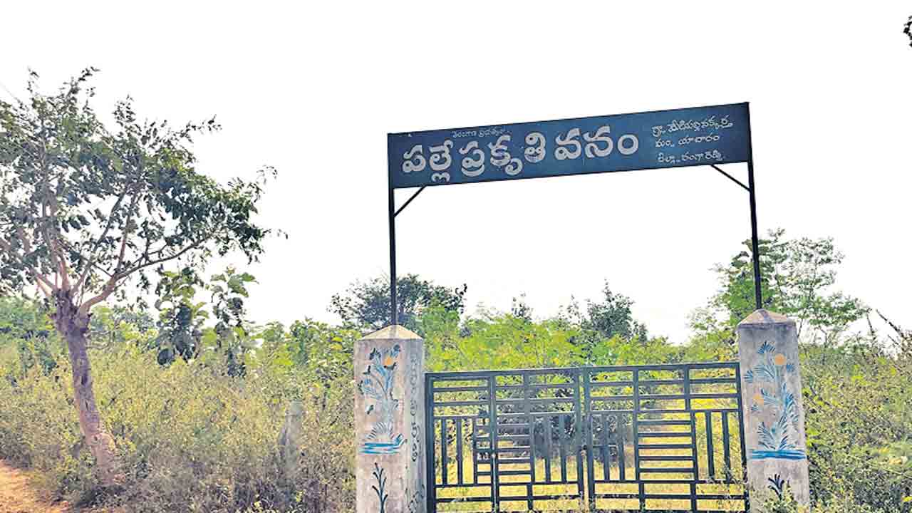 అభివృద్ధిలో ఆదర్శం మేడిపల్లి