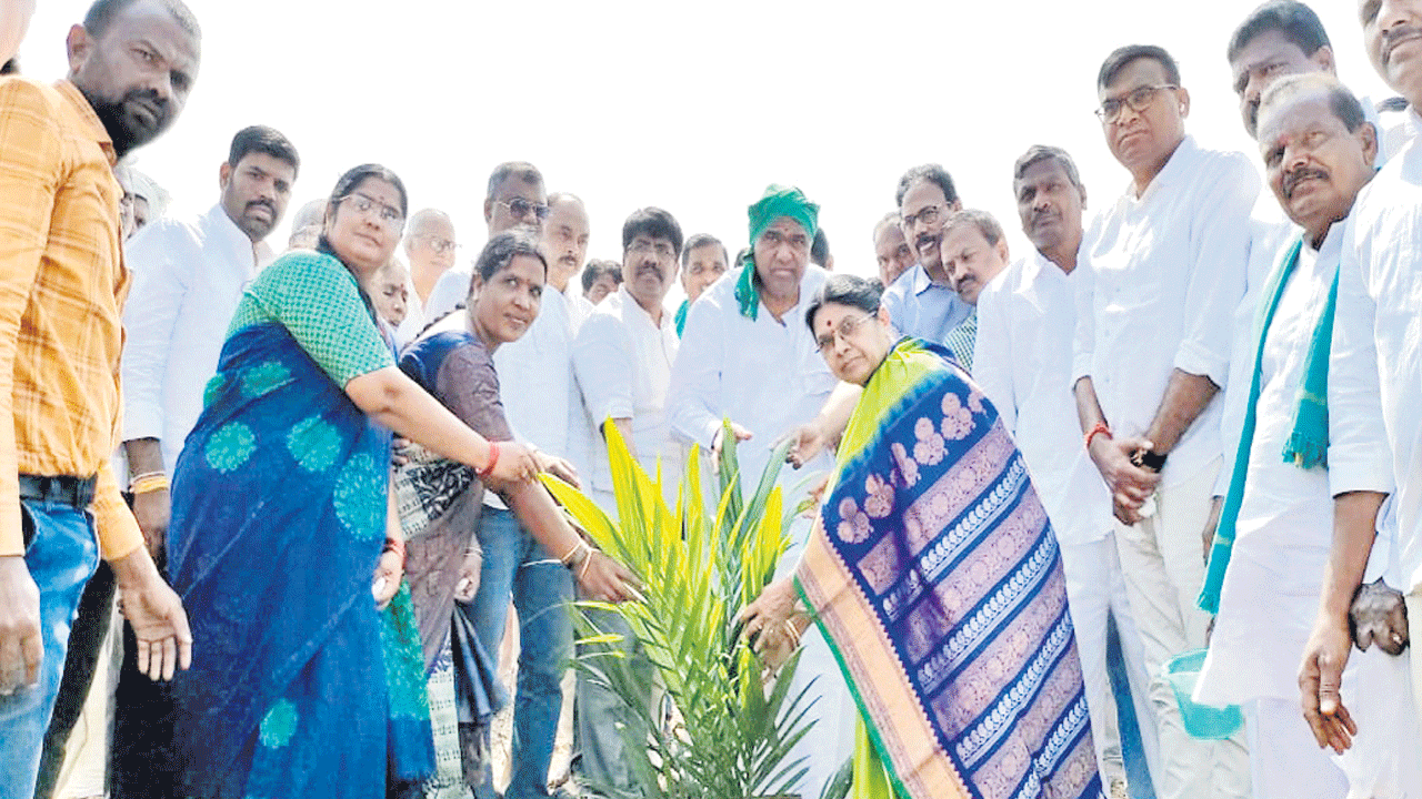 లాభసాటి పంటలను సాగుచేయాలి