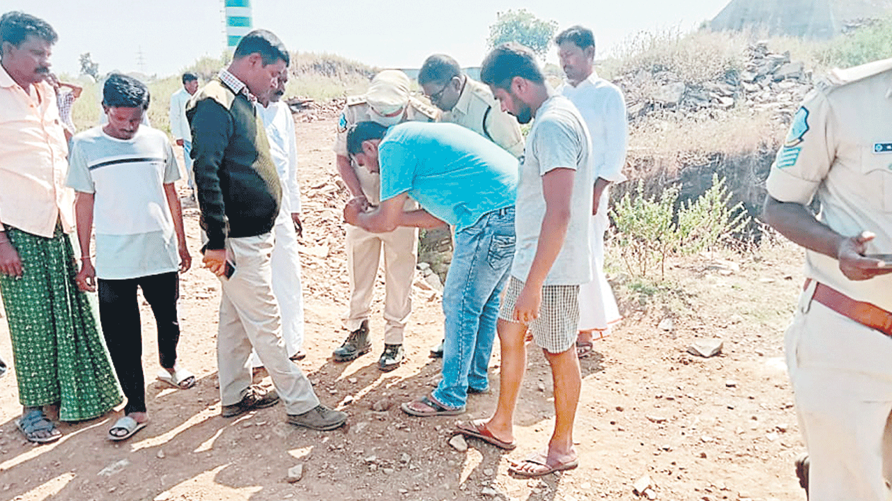 పులుల కలకలం