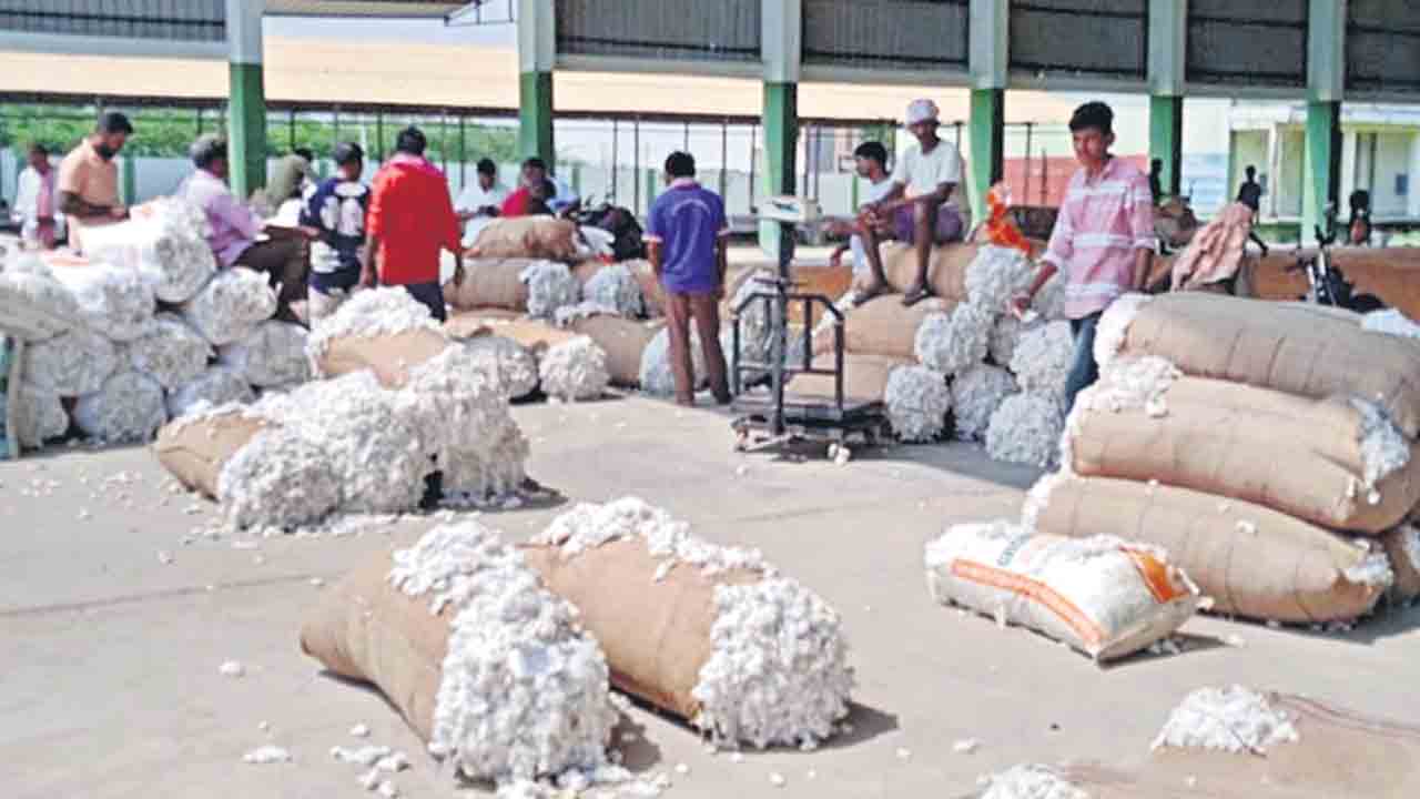 కేసముద్రంలో క్వింటాల్‌ పత్తి రూ.8,151