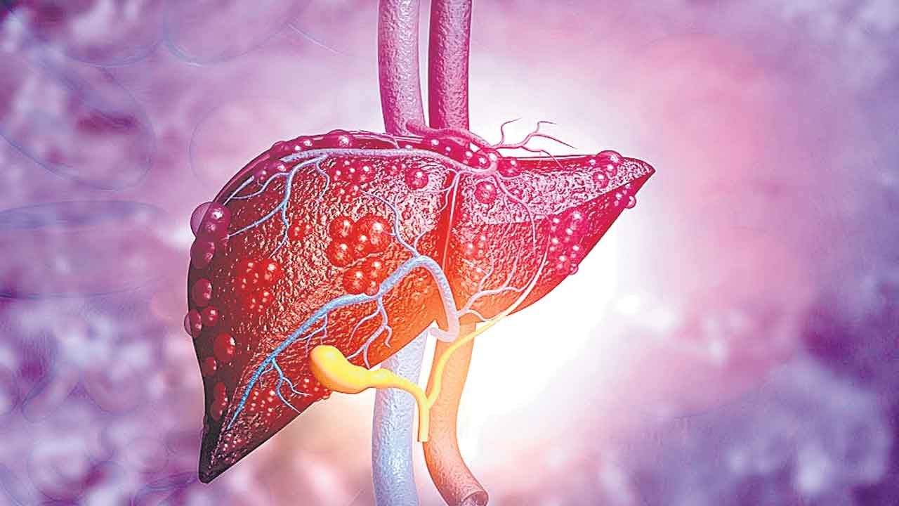 కుష్టు బ్యాక్టీరియాతో కాలేయ చికిత్స