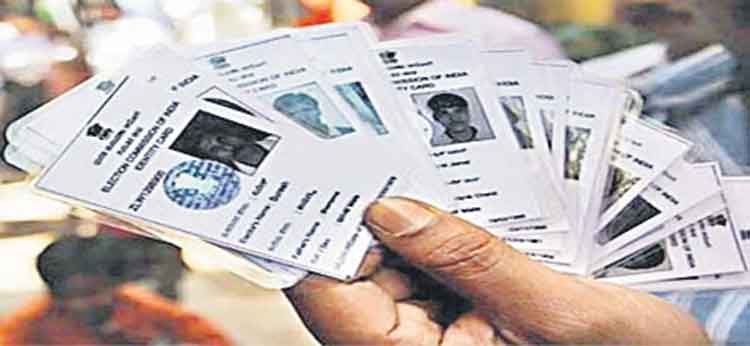 ఓటరు ముసాయిదా సిద్ధం