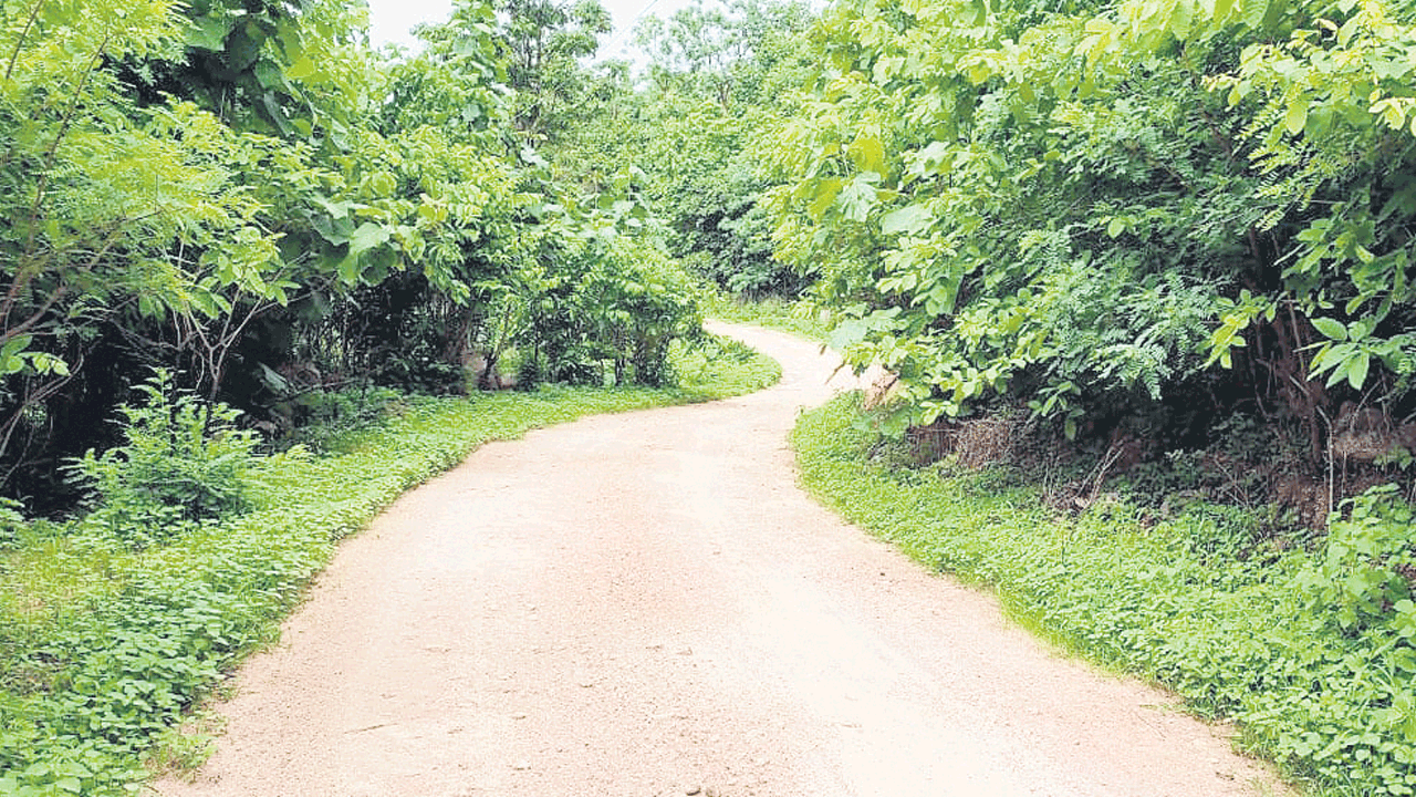 పట్టించుకోం.. పర్మిషనివ్వం
