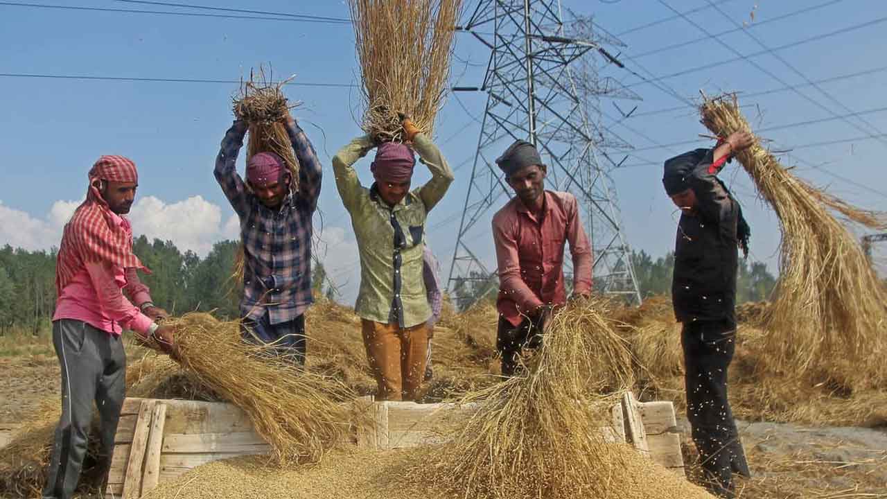 మెళకువలు పాటిస్తేనే..నాణ్యమైన ధాన్యం