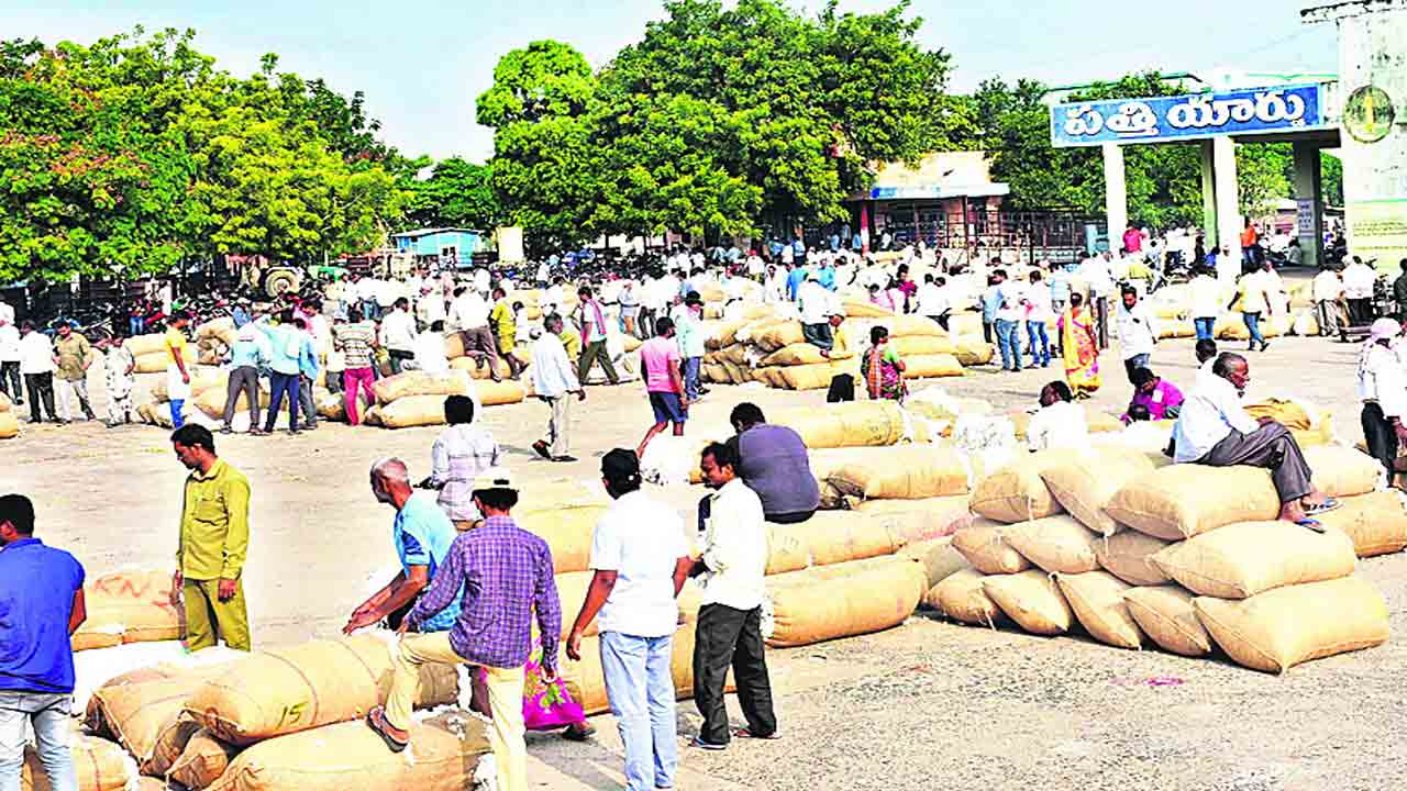 పత్తి ధర పైపైకి..