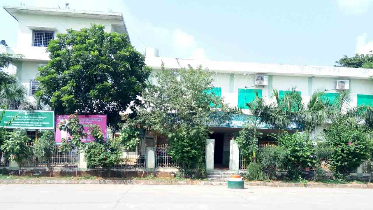 పత్తి రైతుకు శుభవార్త