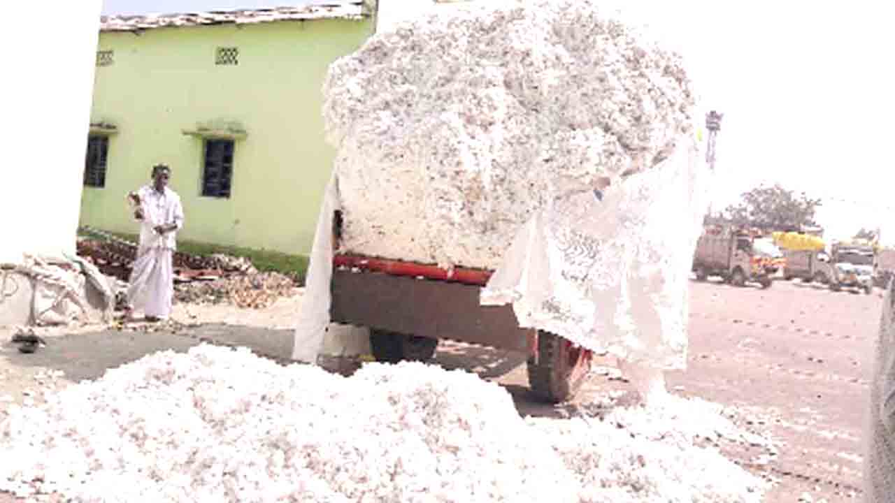తెల్లబంగారానికి భలే డిమాండ్‌