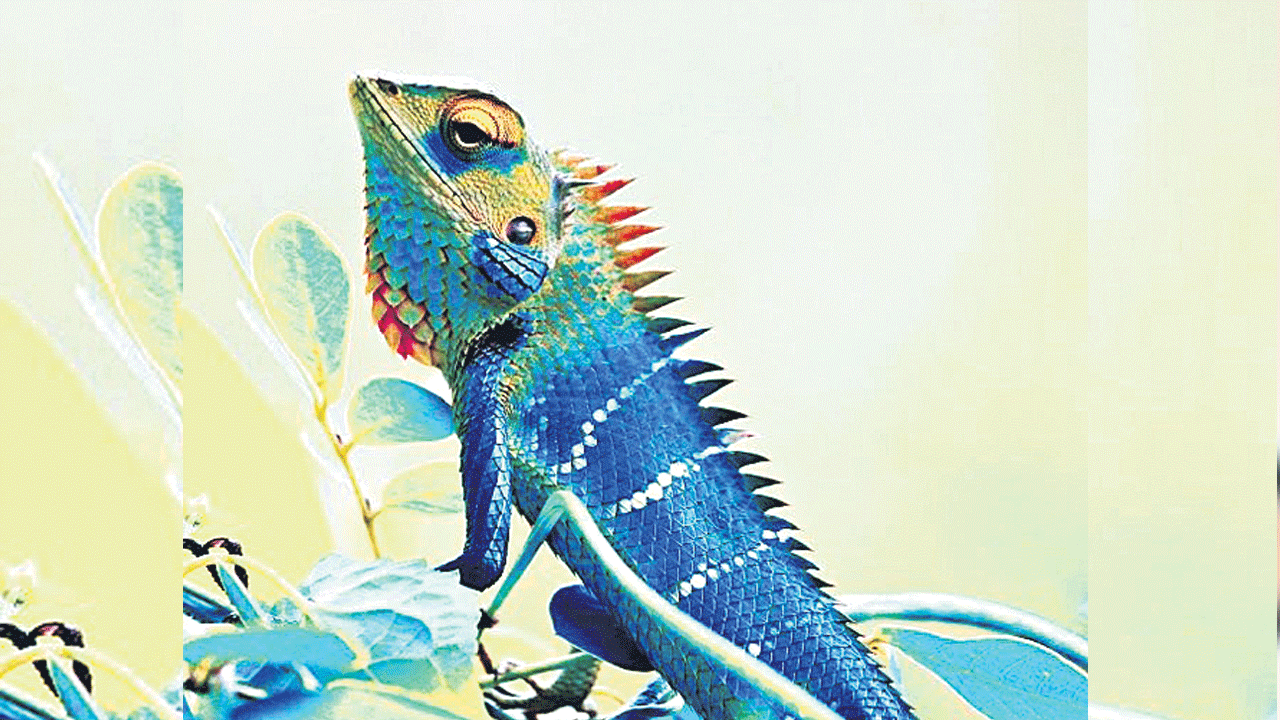 సిగ్గు చచ్చింది!!