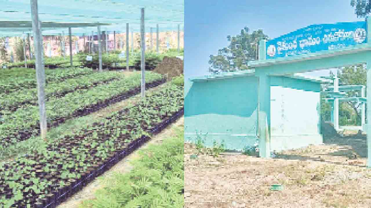 ‘ప్రగతి’ నోముల