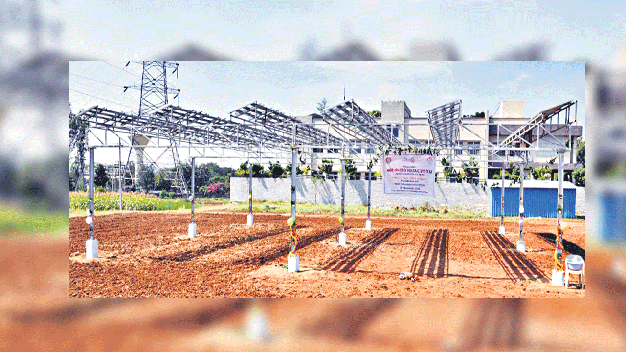 పంటతోపాటు విద్యుత్తు ఉత్పత్తి విద్యుత్తు ఉత్పత్తి