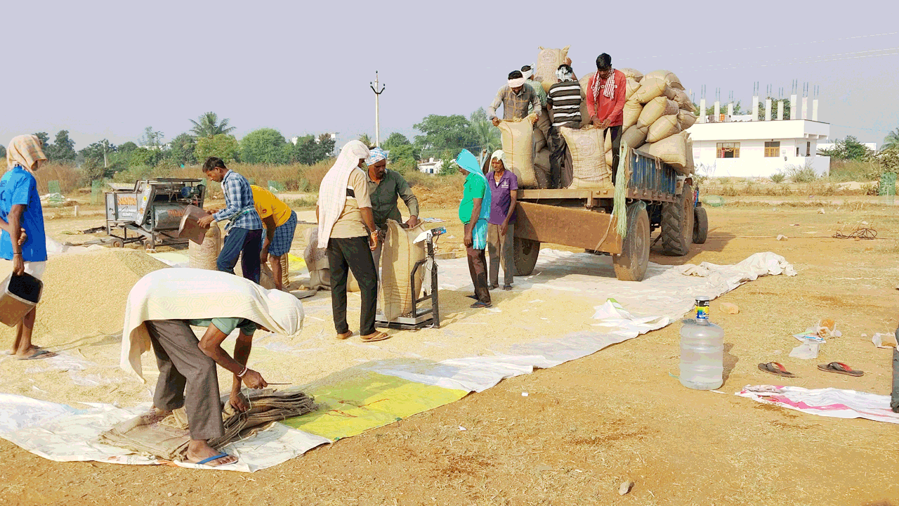 జోరుగా వరి ధాన్యం కొనుగోళ్లు