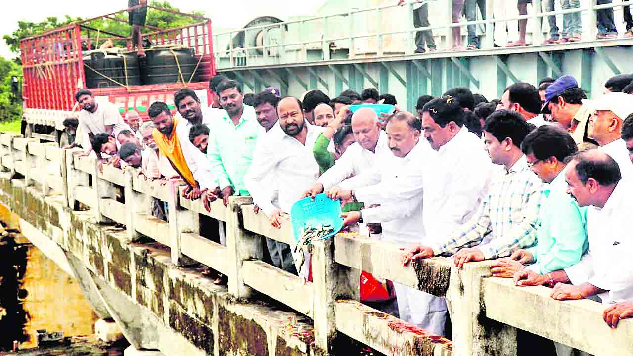 మెరిసిన మైలారం