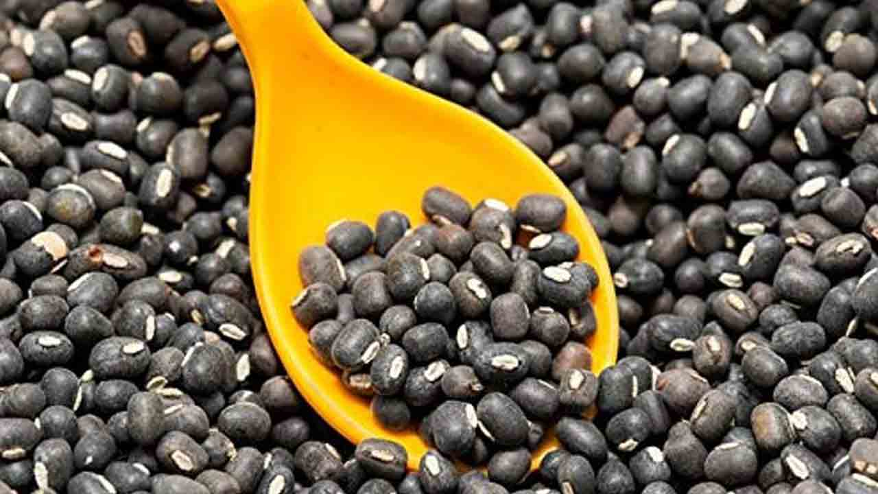 మినుములసాగు రాబడి బాగు