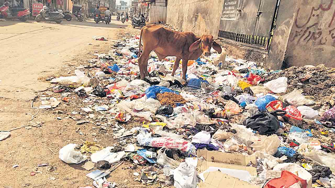 అమలుకాని ప్లాస్టిక్‌ నిషేధం