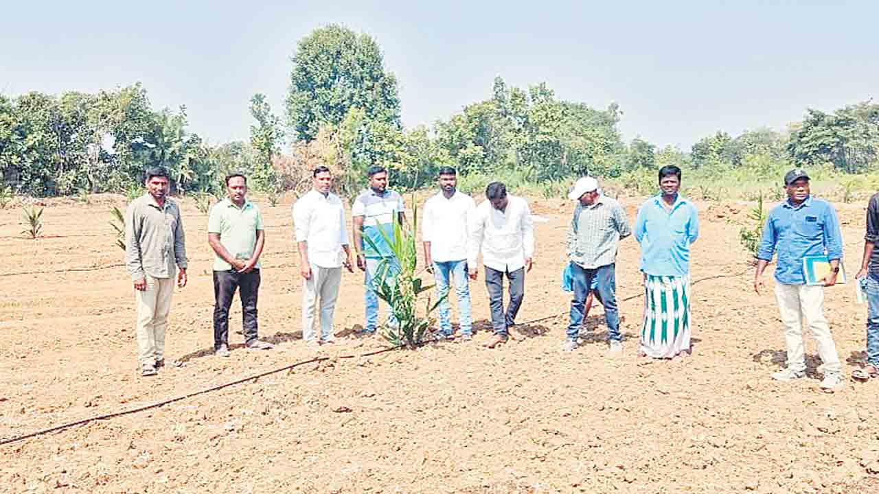 యాసంగి పంటల సాగుపై అవగాహన