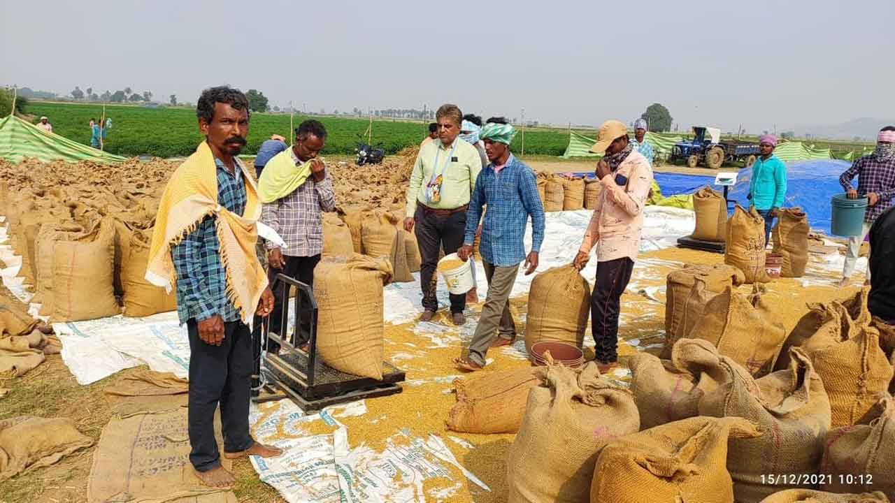 ధ్యాన్యం సేకరణకు సన్నద్ధం