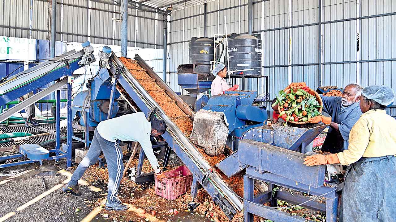 కూరగాయల వ్యర్థాలతో.. జీవ ఇంధనం