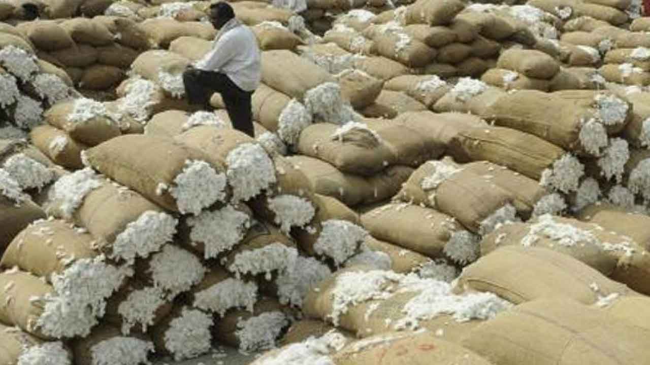 పెద్దపల్లి పత్తికి రికార్డుస్థాయిలో ధర