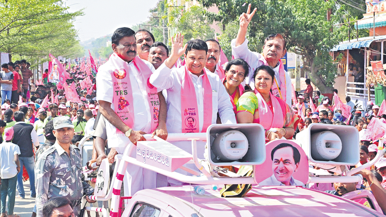 గులాబీ వనంలా ఇందూరు