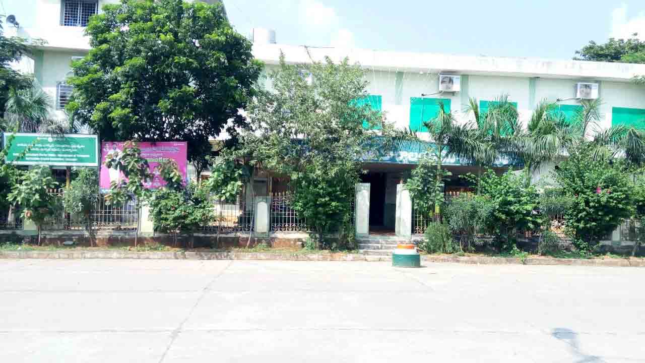 నేటి నుంచి సూర్యాపేట వ్యవసాయ మార్కెట్‌లో పత్తి కొనుగోళ్లు