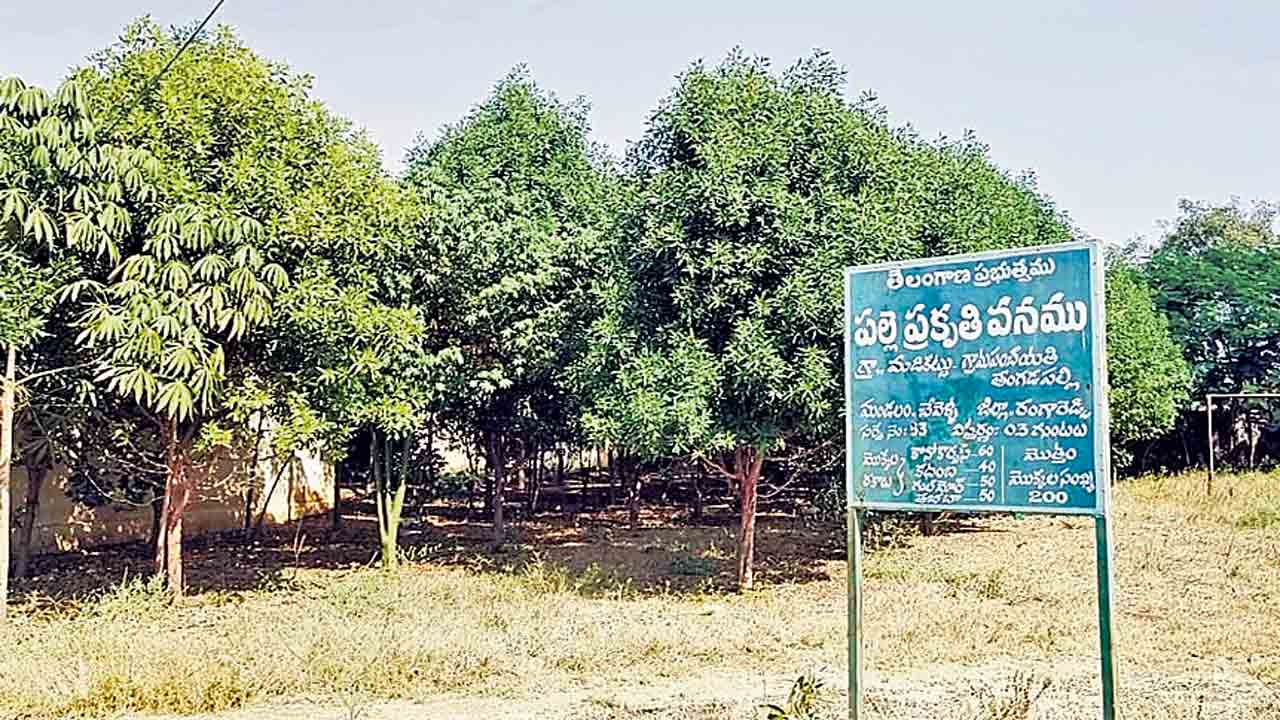 అభివృద్ధి పథంలో మడికట్టు