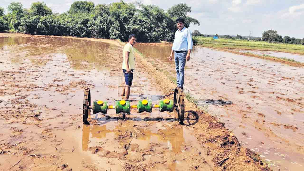 డ్రమ్‌ సీడర్‌ విధానంతో లాభాలు అధికం