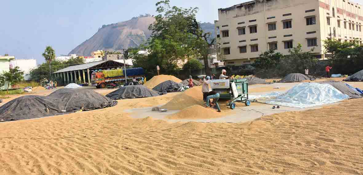 ఊపందుకున్న దాన్యం కొనుగోళ్లు