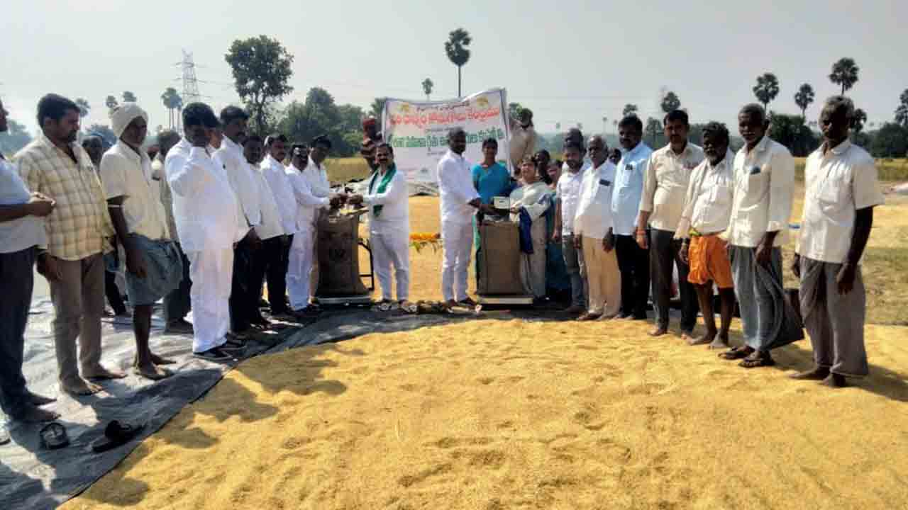 ప్రభుత్వ కొనుగోలు కేంద్రాల్లో మద్దతు ధర