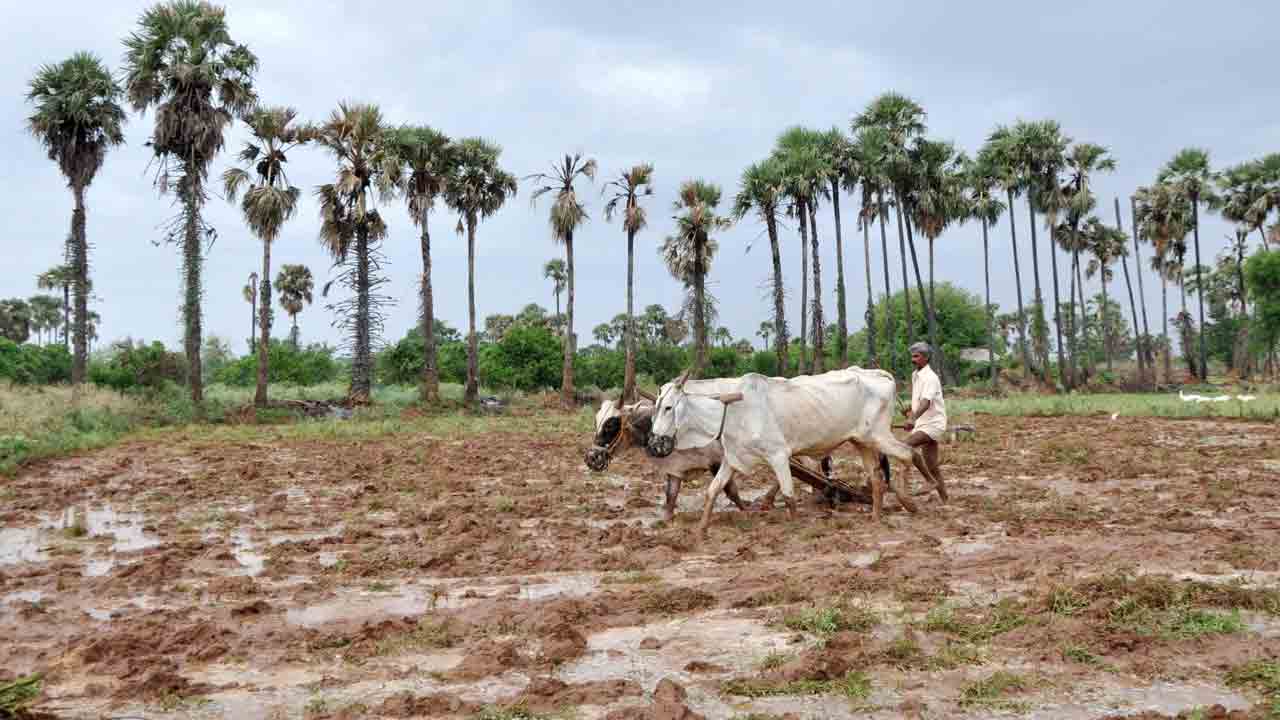 పీఎస్‌బీతో నేలకు జీవం