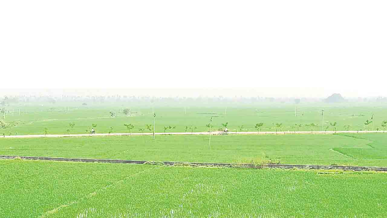 జల సవ్వడులు పచ్చని పంటలు