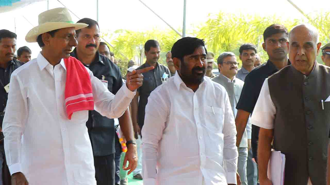 వేలుగురేడు