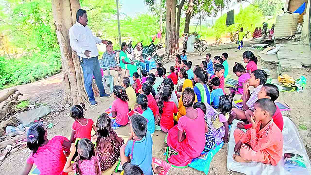 వలస పక్షులకు అక్షరదానం