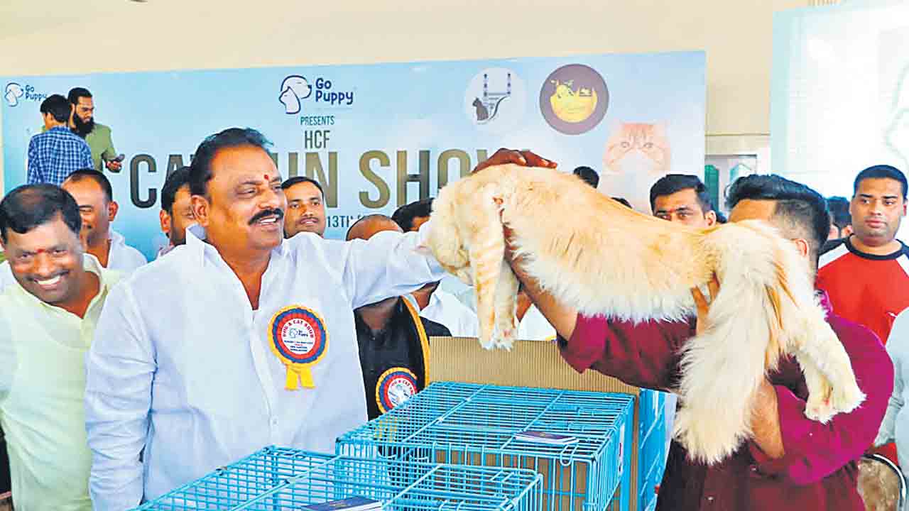 శునక రాజసం